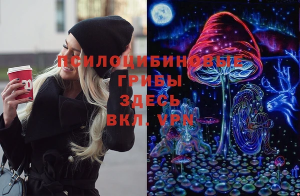PSILOCYBIN Михайловка