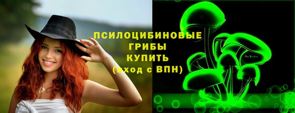 PSILOCYBIN Михайловка
