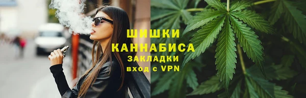 крисы Надым