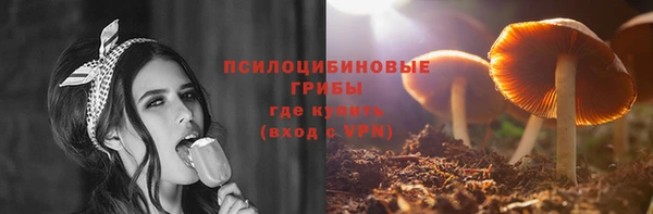 спайс Кулебаки
