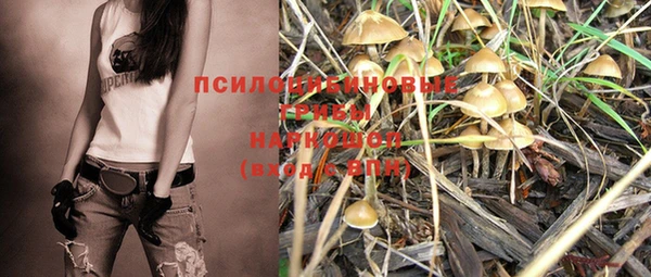 PSILOCYBIN Михайловка