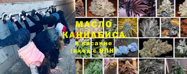 индика Мегион