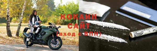 крисы Надым