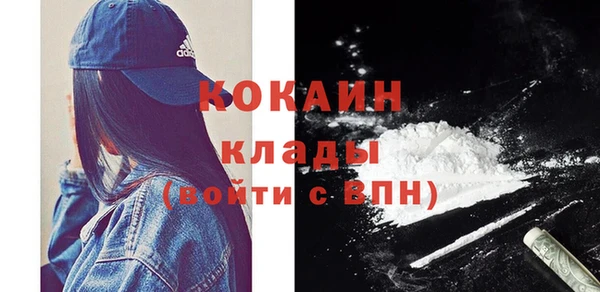 молекула духа Михайлов
