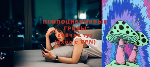 PSILOCYBIN Михайловка