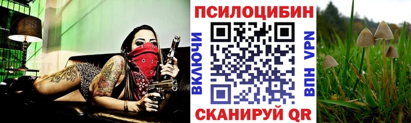 Псилоцибиновые грибы мухоморы Костерёво